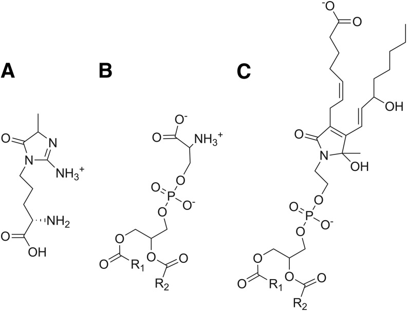 FIG. 6.