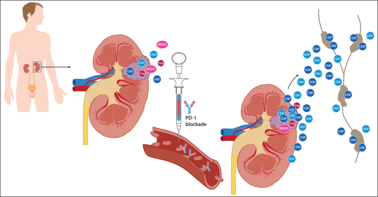 Fig.1