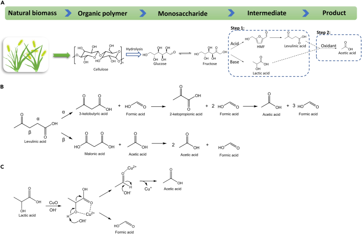 Scheme 3