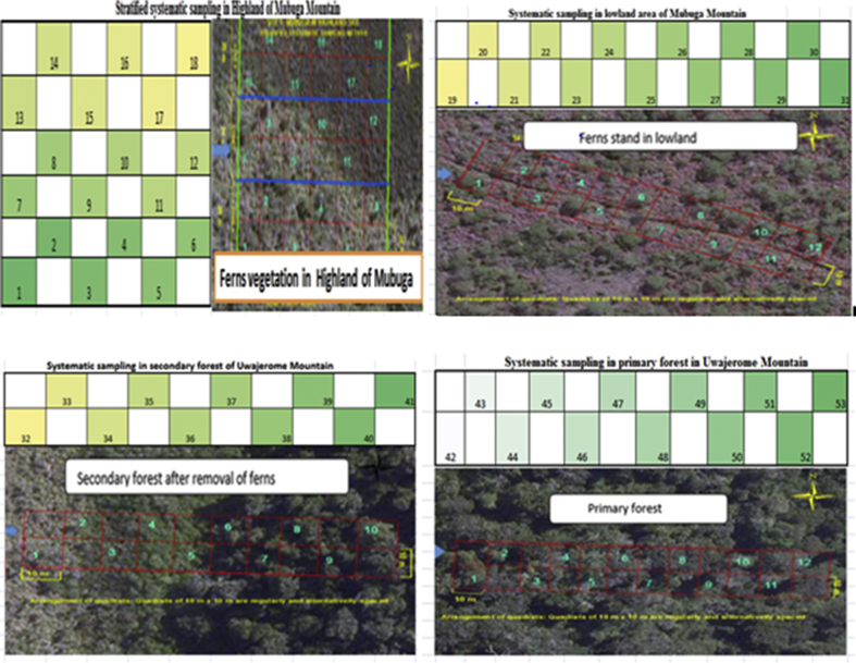 Figure 2