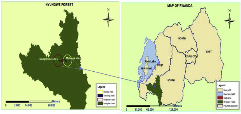 Figure 1