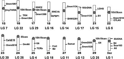 Figure 3.—