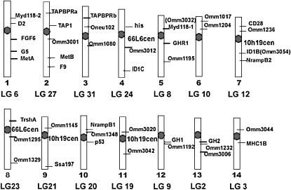 Figure 3.—