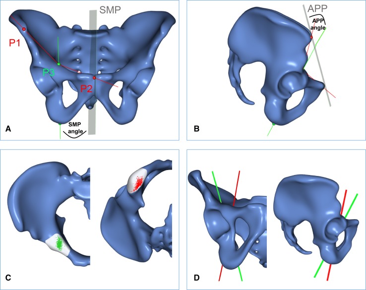 Fig. 1A–D