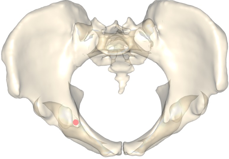 Fig. 3