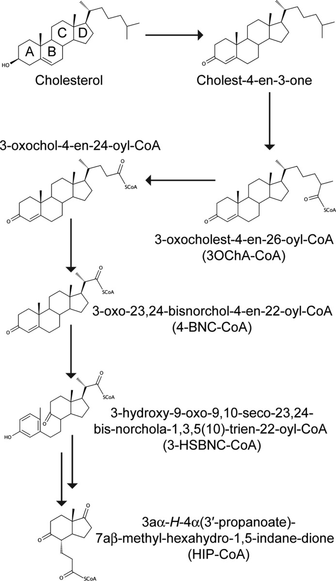 FIGURE 1.