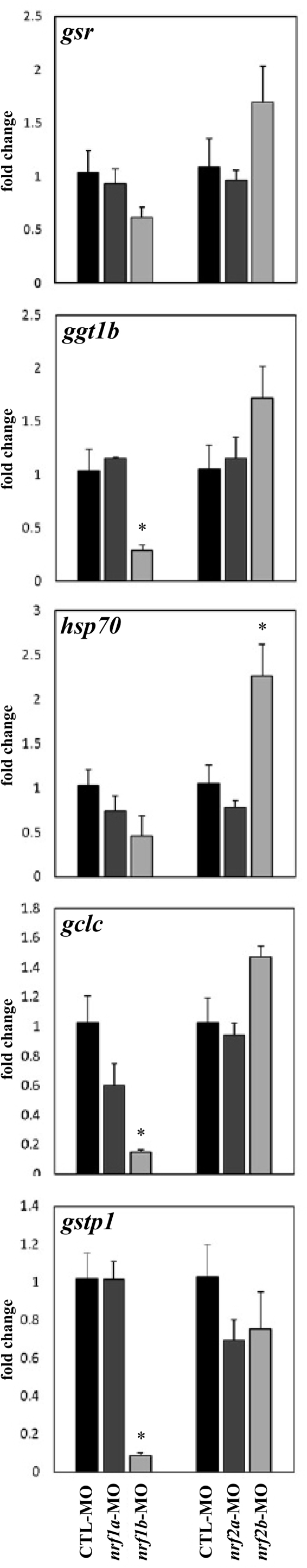 Fig. 8