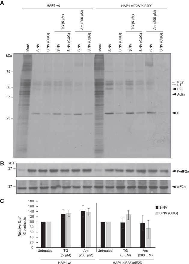 FIGURE 9.