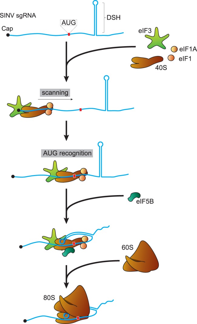 FIGURE 10.