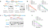 Figure 6 |