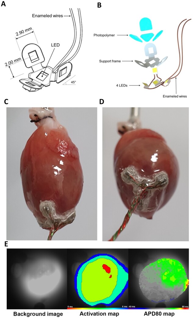 Figure 4