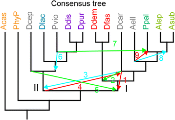 Fig. 5