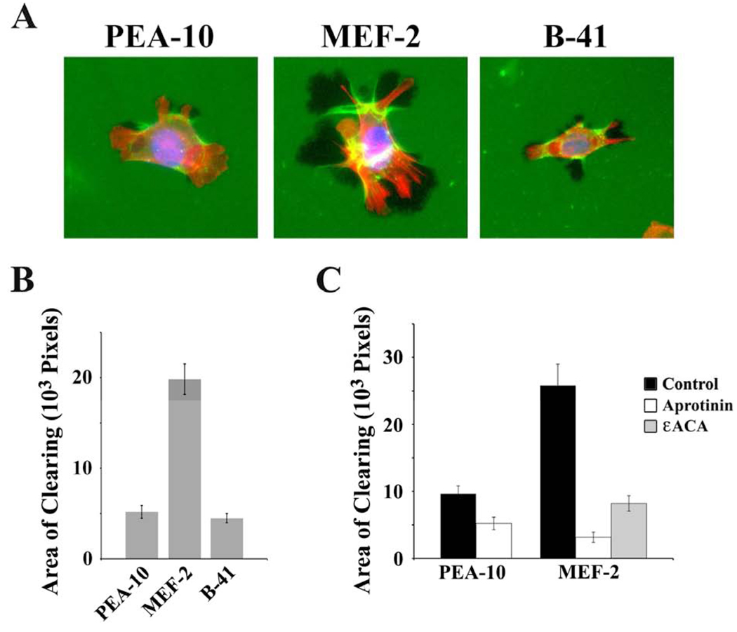 Fig. 4