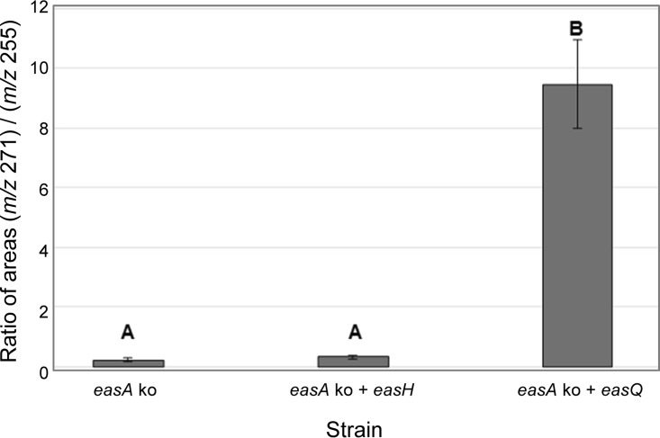 FIG 5