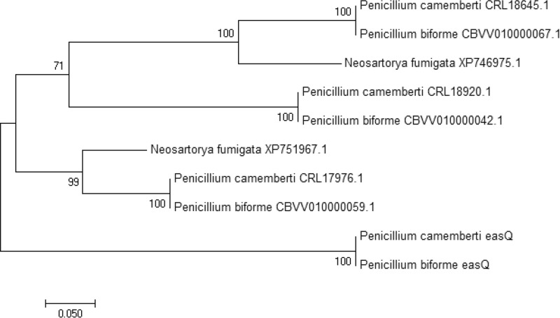 FIG 6