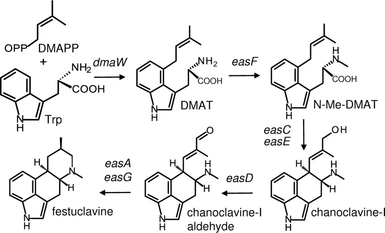 FIG 1