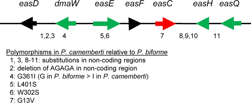 FIG 9