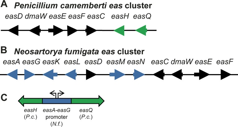 FIG 2