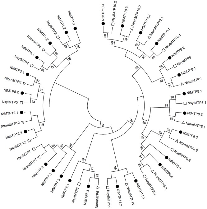 Figure 6