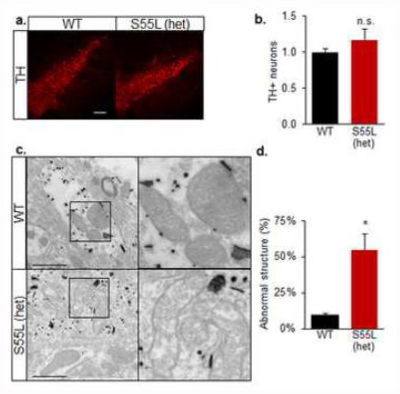 Figure 6.