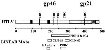 FIG. 1