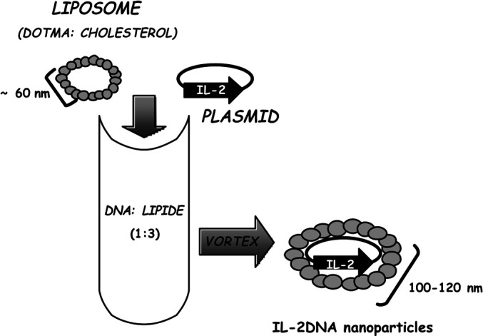 Fig. 3