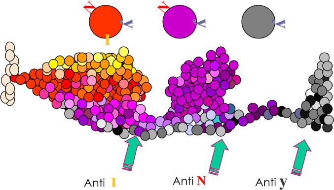 Fig. 1