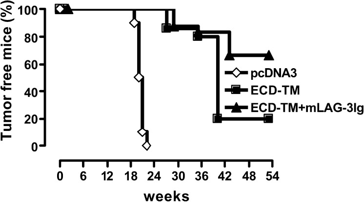 Fig. 6