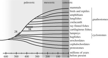 Figure 2.