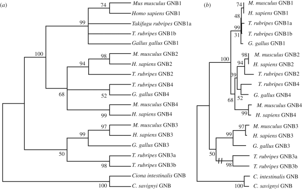 Figure 4.