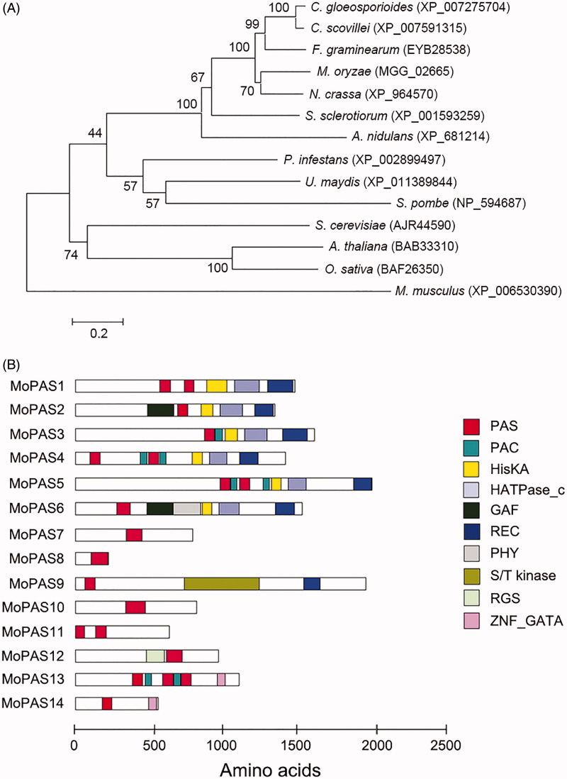 Figure 1.