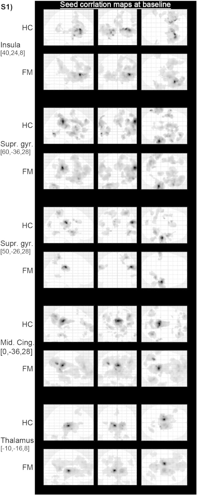 Supplementary Fig. S1