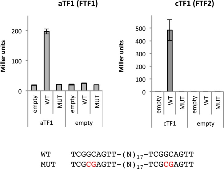 Fig 5