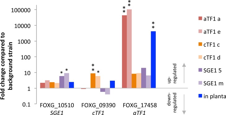 Fig 6