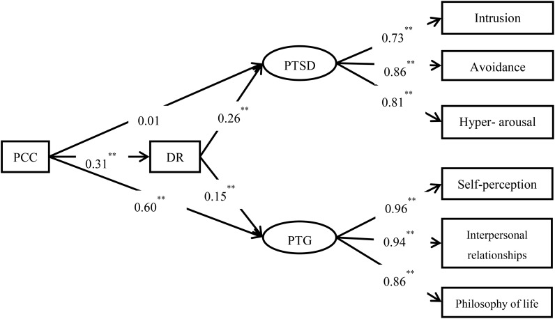 FIGURE 3