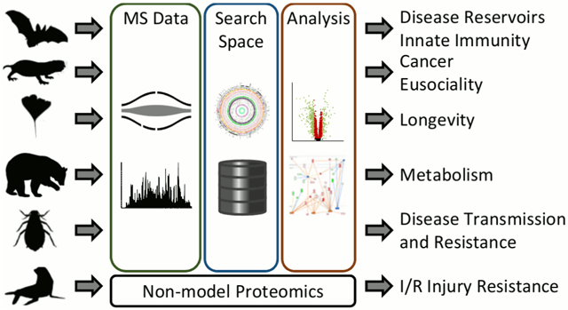 graphic file with name nihms-1658814-f0001.jpg