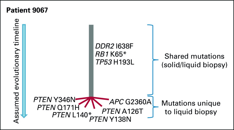 FIG 5.