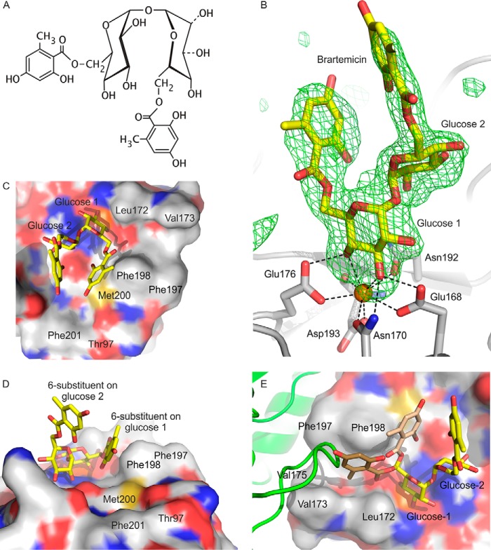 FIGURE 4.