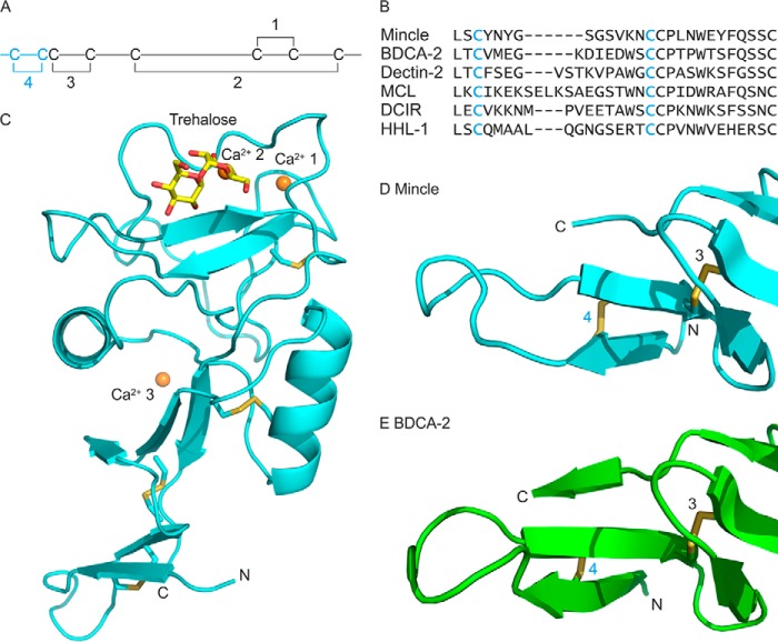 FIGURE 3.