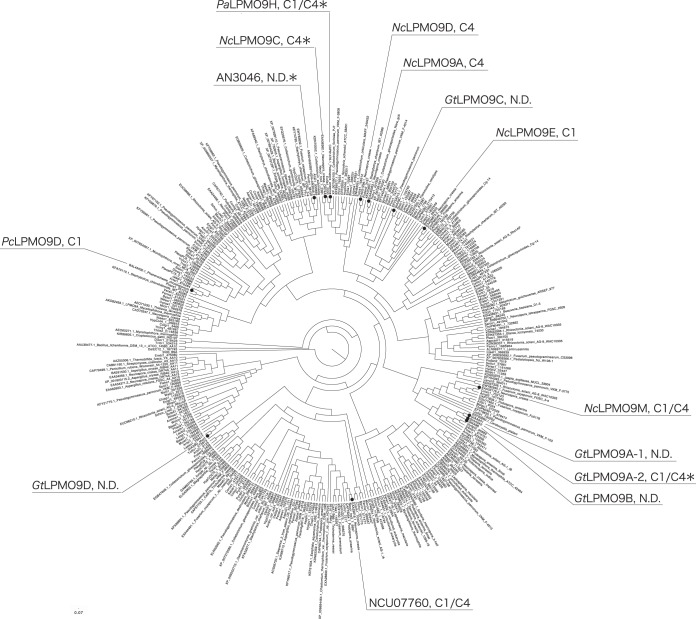 FIG 1