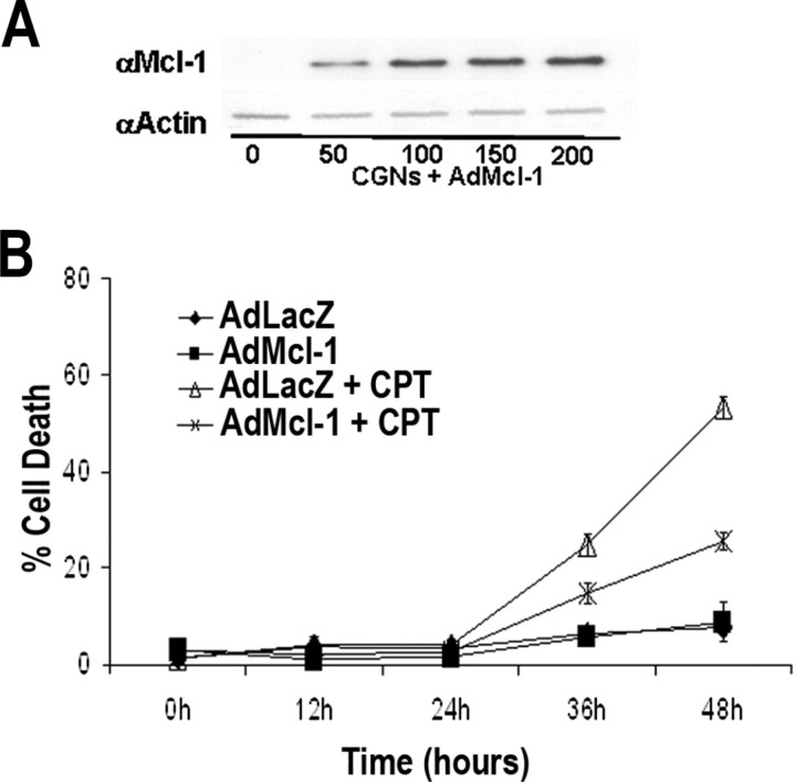 Figure 10.