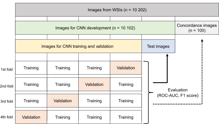 Figure 2