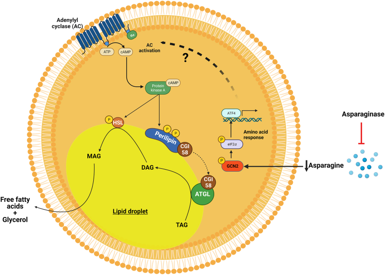 Figure 6