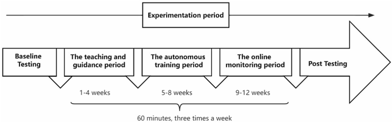 Fig. 2