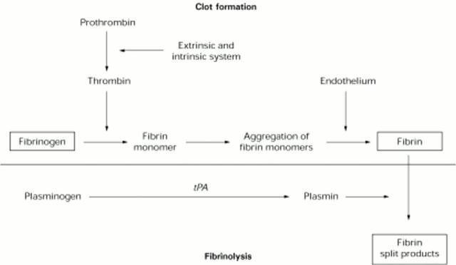 Figure 1  