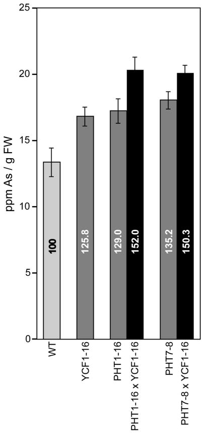 Fig. 5