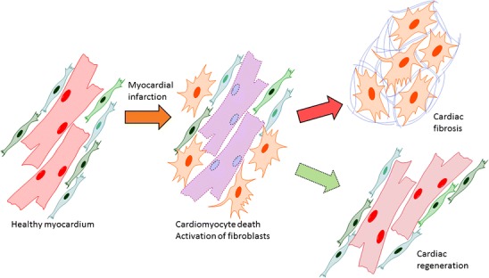 Graphical abstract