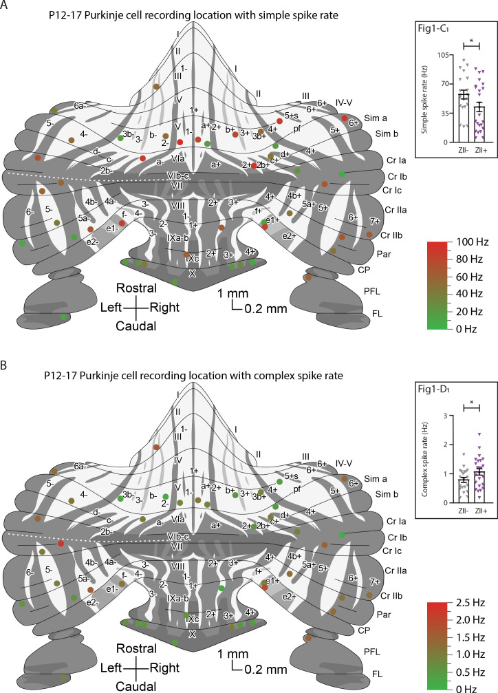 Figure 1—figure supplement 4.