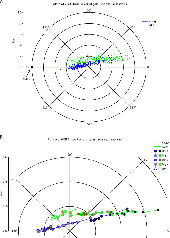 Figure 6—figure supplement 3.