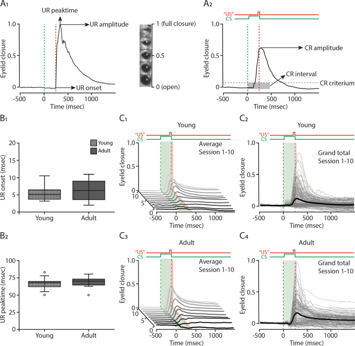 Figure 6—figure supplement 4.